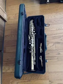 Item thumbnail for item 890a33f4-40e1-4319-a00c-a81f8e2c6a96