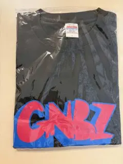 値下げしました】Lサイズ 銀杏BOYZ Tシャツ 2022 黒 - メルカリ