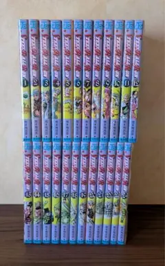 スティールボールラン 全巻 全24 ジョジョの奇妙な冒険 7部 - メルカリ