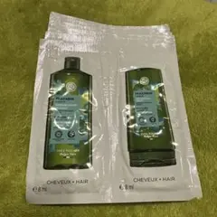 이브 로쉐 헬시 스칼프