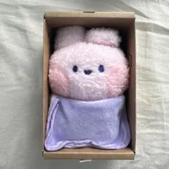 【BT21 minini ぬいぐるみ cooky】