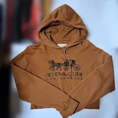 Item thumbnail for item 095c8cdf-0048-44f1-aaa7-73e13ef7e964