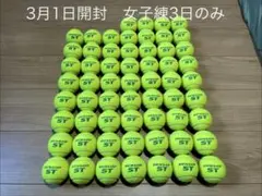 Item thumbnail for item 60886769-4846-418b-9a7f-2fe94617b3cb