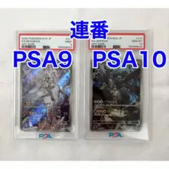 2026年最新】ゼクロム レシラム 連番の人気アイテム - メルカリ