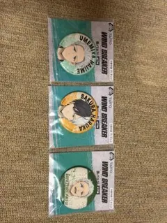 WIND BREAKER 缶バッジセット 3種