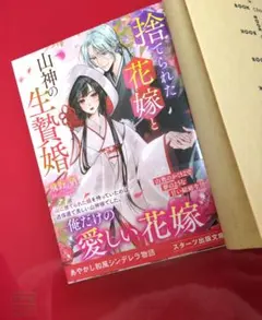 テラ@同梱値引き可様 リクエスト 2点 まとめ商品