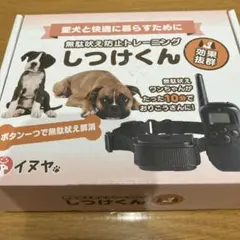 Item thumbnail for item fdfbbdcc-62a6-48ad-80c2-a7f620a20b2c