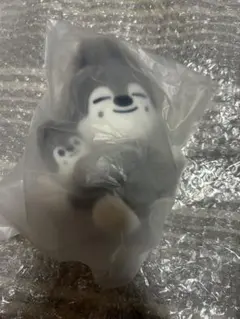 SKZOO MAGNET PLUSH SET Wolf Chan