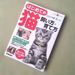 はじめての猫 飼い方・育て方