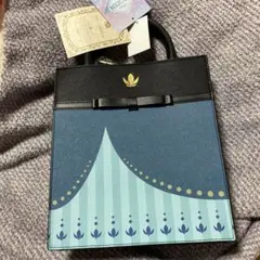 Disneyディズニー FROZEN ショルダーバッグ