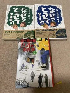 新品同様未使用に近い美品なぜ？どうして？2年生　3年生　少年弁護士セオの事件簿3