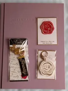安室奈美恵 Finally ツアーグッズ キーホルダー パンフレット 他セット
