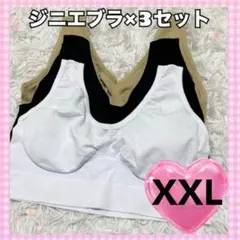 【XXLサイズ】ジニエブラ 3枚セット ナイトブラ ノンワイヤー スポーツブラ