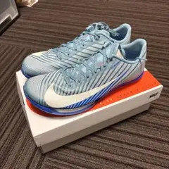 NIKE マックスフライ2 ブルー　26cm 新品