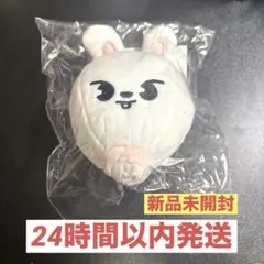 バッグチャーム リービット リノ Leeknow straykids 5STAR