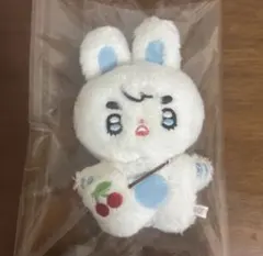 エスクプス ぬいぐるみ 10cm SEVENTEEN マスター