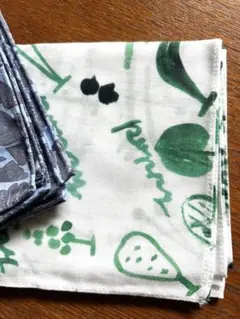 Item thumbnail for item e9fec448-98e2-4c50-8a04-a5bf0a021fda