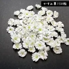 ＊ｍ.ｍ＊様 リクエスト 2点 まとめ商品