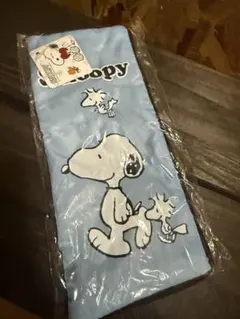 Item thumbnail for item 144579b3-54a7-48cd-a977-e8231bafeb5b