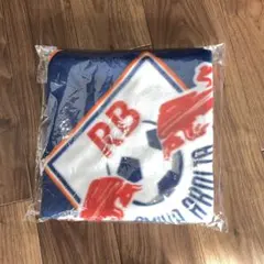 2026年最新】アルディージャ ポンチョの人気アイテム - メルカリ