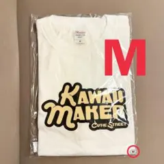 Item thumbnail for item 81b0b0fb-c881-4420-aaeb-4a6d3edf9e7e