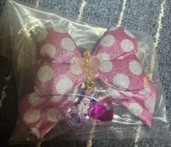 ディズニーパルパルーザ　ミニーのファンダーランド キーチェーン シークレット