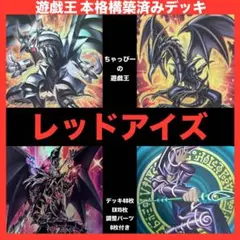 レッドアイズ メタル化 本格構築済み デッキ 遊戯王 亜黒竜 真紅眼の黒竜まとめ