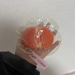 フルーツ型　海外スクイーズ