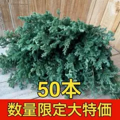 しだれ桃様 リクエスト 4点 まとめ商品