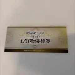 ヤマダ電機 お買物優待券 10枚セット 5000円分YAMADA