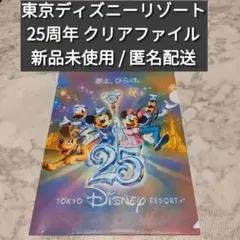 東京ディズニーリゾート 25周年 クリアファイル