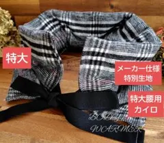 Item thumbnail for item 1dee05ea-3960-44ee-a56d-d29f9c770377