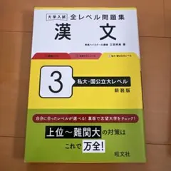 大学入試 全レベル問題集 漢文 3 私大・国公立大レベル