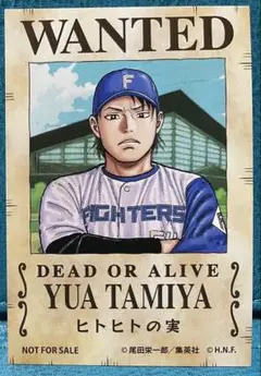 田宮裕涼　ワンピースコラボ手配書ステッカー