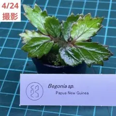 どんぐり様 リクエスト 3点 まとめ商品