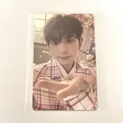 &TEAM HARUA ハルア 五月雨 Weverse Global トレカ