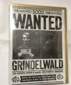 2025年最新】ミナリマ グリンデルバルドの人気アイテム - メルカリ