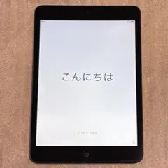 iPad Mini 第一世代16GB ブラック+新品の充電ケーブル