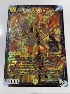 煌龍サッヴァーク　キラゼオスサッヴァーク　RᏢ04裁　MDG　MD1㊙1のサムネイル