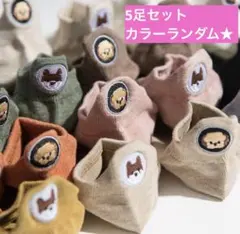 靴下 レディース 犬 5足セット 綿 コットン アンクル丈 可愛い ソックス