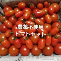 農薬不使用　トマトセットのサムネイル