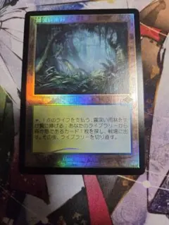 MTG 新緑の地下墓地/Verdant Catacombs 旧枠Foil 英語 | Mercari