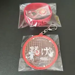 ハイキュー ファンパーク 音駒高校 シリコンバンド わちゃころ キーホルダー