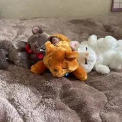 ディズニー　おしゃれキャットぬいぐるみ3体セット