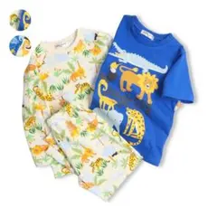 Item thumbnail for item 0eef7f90-67f3-4e2b-a77f-255a37635932