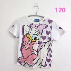 東京ディズニーリゾート デイジーダック Tシャツ 120cm