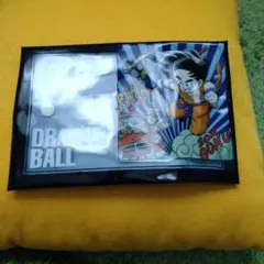 Item thumbnail for item 95123cdc-6794-48f9-a5e0-cb60f70dbf9a