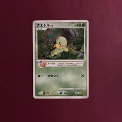 ナエトル P 第5期プレイヤーズけいけんち プロモ - メルカリ