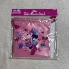 ディズニーパルパルーザ ミニー ファンダーランド 巾着 ポーチ