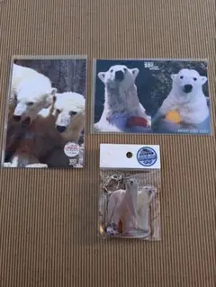 Item thumbnail for item 47e2dad6-5eb5-47b5-b2b2-94726815441b